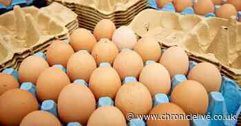 County councillor asks if public can throw 'eggs and tomatoes' at anti-social motorbike riders