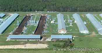 Florida ag losses from Hurricane Idalia estimated between $78m and $307m