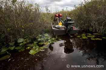 U.S. to Nominate Okefenokee Swamp Refuge for Listing as UNESCO World Heritage Site