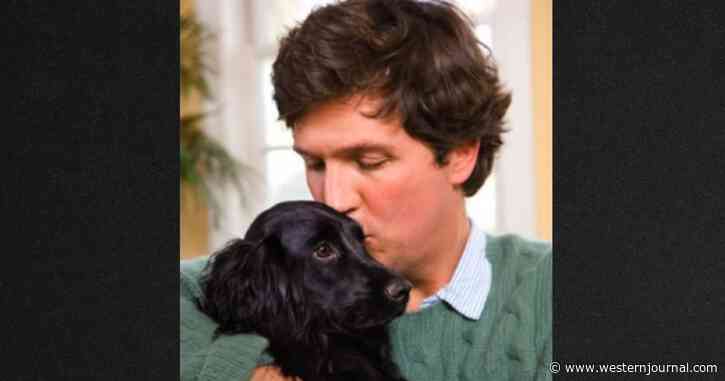 Tucker Carlson Demolishes Sick Rumor About Kicking a Dog: 'This Is Absurd'