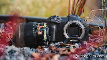 The Full Frame Cult Is Getting Tiring