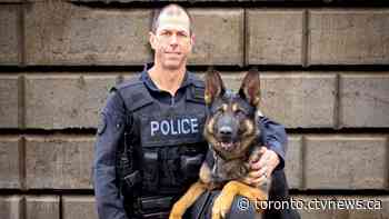 Memorial held for Bingo, Toronto police dog killed while on-duty