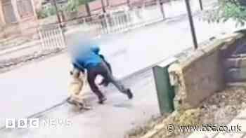 Sheffield dog attack: Man arrested after victim suffers serious injuries