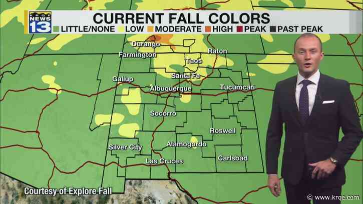 Cloudier Saturday with rain for some