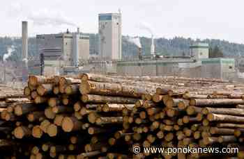 West Fraser selling two pulp mills to Atlas Holdings for US$120 million