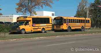 Alberta school bus companies face driver shortage, need help with driver retention