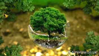 Two in five over 55s would ‘climate snub’ a pay rise, shows new survey