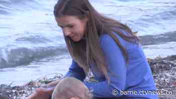 Barrie-Innisfil MPP Andrea Khanjin moving into cabinet