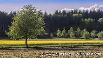 Gut Bannacker war das Mekka der internationalen Polowelt
