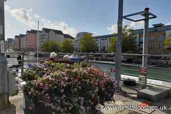 The trendy West Country marina town which has ‘the best of both worlds’