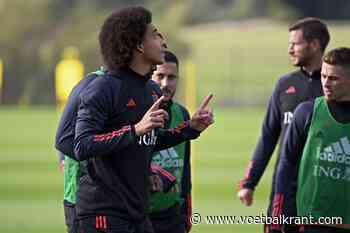 Axel Witsel haalt het selectiebeleid van Domenico Tedesco bij de Rode Duivels onderuit