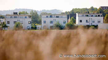 Dax, MDax, SDax: Aroundtown, Hornbach, Varta – Das sind die Gewinner und Verlierer der Börsenwoche