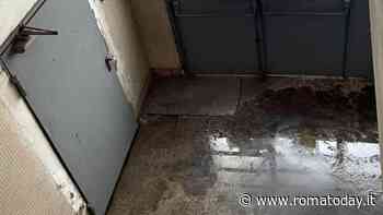 Topi e liquami negli uffici del comune: "Lì lavorano 400 persone"