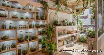 Independent shop selling amazing terrariums - and you can even make your own