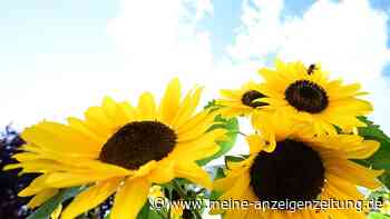 Trotz kühlerer Temperaturen wieder mehr Sonne am Sonntag