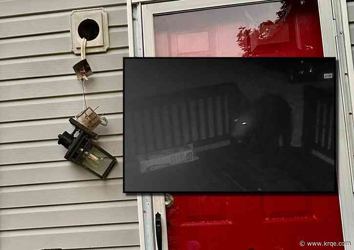 Bumbling bear wreaks havoc, destruction in attempt to enter Virginia home