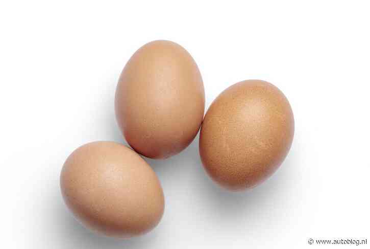 Verstappen: “Ze kunnen op een ei zuigen”