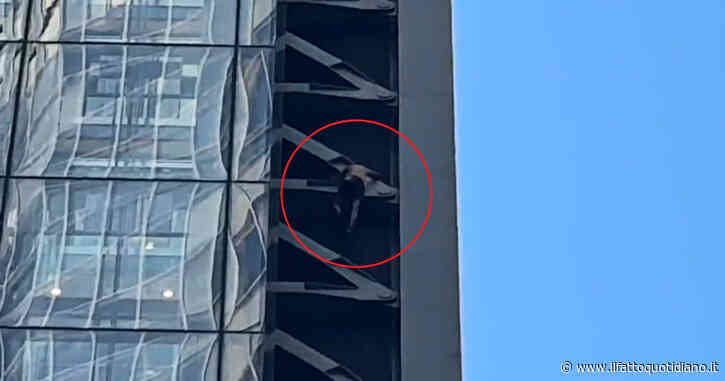 Scala un grattacielo di oltre 200 metri a torso nudo e senza attrezzatura: arrestato dalla polizia – Video