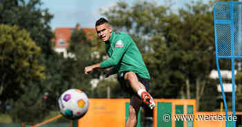 Mit Borré und Deman: Fünf Neue in Werders Startelf