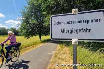 Beliebter Radweg in Bünde wird gesperrt