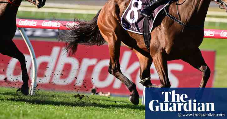 Gambling companies accused of using big tobacco’s tactics in push for weaker regulations