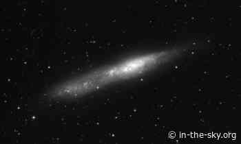 25 Sep 2023 (2 days away): NGC 55 is well placed