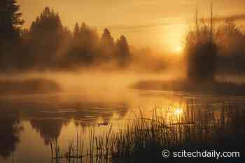 Methane Surprise: Ponds Release More Greenhouse Gas Than They Store