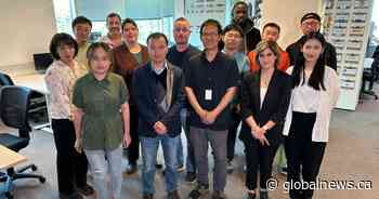 Sask based tech company develops AI grain grading app