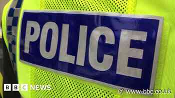 Doncaster: Woman arrested for using dog as 'weapon'