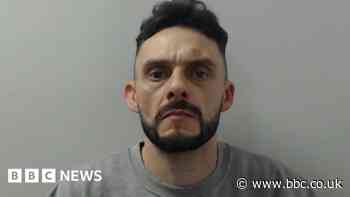 Man jailed over Carrington dog attack which injured girl, 6