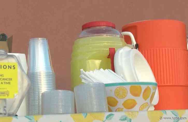 Local school fundraises for childhood cancer foundation through lemonade stand