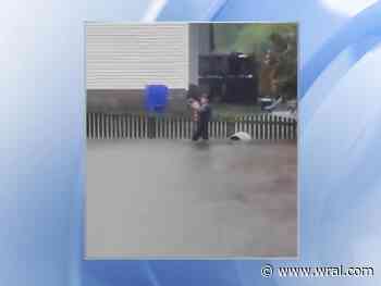 Greenville police officer rescues pit bull from nearly drowning in flood waters