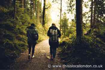 The best Autumn walks to explore this September