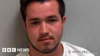 Child abuser posing as girl online blackmailed boys for photos