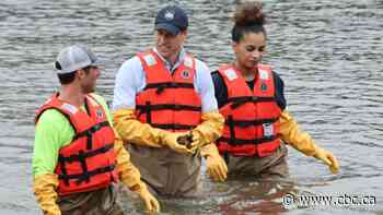 Royal diplomacy hits the world stage on 2 fronts — Charles in France and William in New York