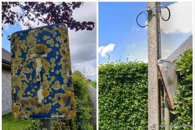 Verschillende verkeersborden zijn aan vervanging toe: “Technische dienst is er volop mee bezig”