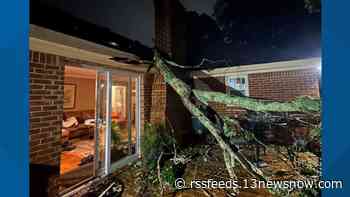 Winds from Ophelia knock large tree limb onto Virginia Beach family's home