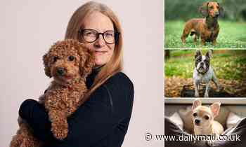 EXCLUSIVE: I'm a professional dog trainer. These are the six breeds most likely to suffer separation anxiety (and how to snap them out of it)