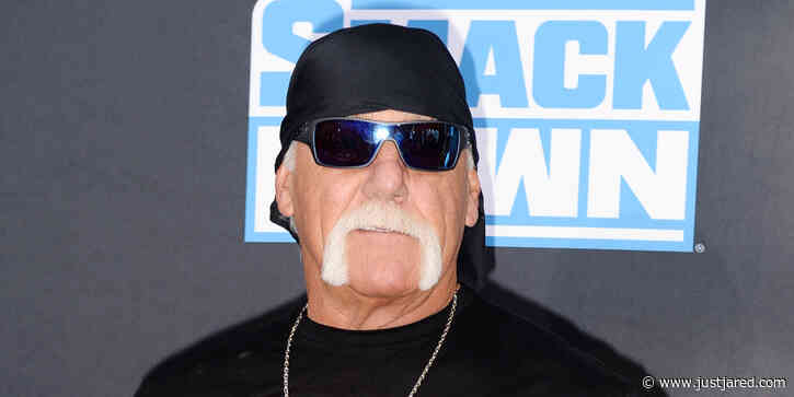 Hulk Hogan Marries Sky Daily Following Summer Engagement, 1 Family Member Missed the Wedding
