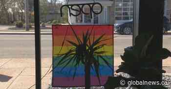 ‘It’s a human right’: Ponoka, Alta. bakery told to remove Pride flag from window
