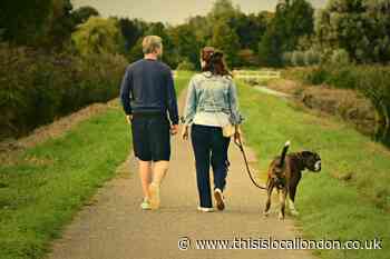 Toxic Blue-Green algae warning issued to dog owners