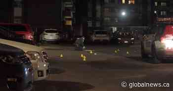 Violent night in Toronto sees 2 shootings, a stabbing and an arson