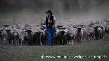 Wettstreit der Schäfer - Der Kampf um die goldene Schüppe