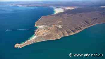 Hydrogen boom gets green light as Whyalla tipped to become centre of renewable 'superpower'