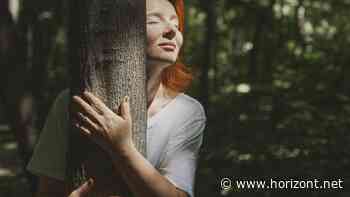 Werbewirkung optimieren: Wie Mediaplus und September Marken zu Grünen Stars machen