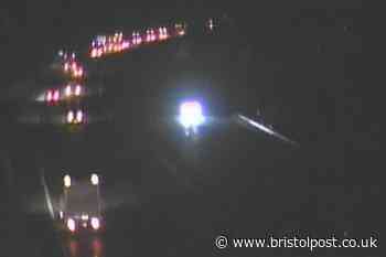 Goats on M5 force overnight closure and rescue mission