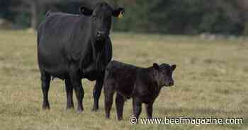 Farm Progress America, September 25, 2023