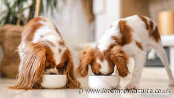 Private labelled pet food thriving in Europe