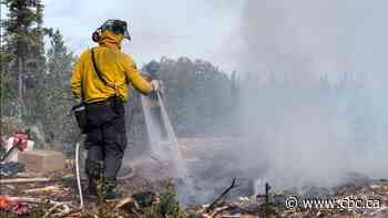 Wildland firefighters in many parts of Canada struggle to get compensated for serious illness