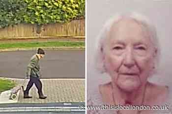 West Wickham Cherry Tree Walk: Body of woman found